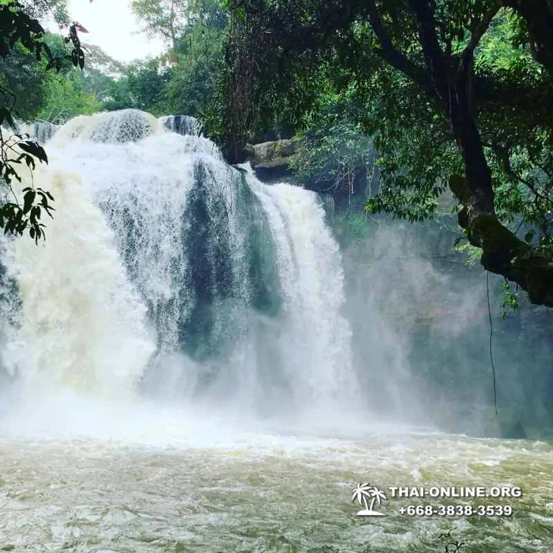 Край Водопадов Кхао Яй экскурсия в Тайланде - фото 72