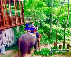 Кхао Яй и Изумительный Таиланд тур Seven Countries - фото 3