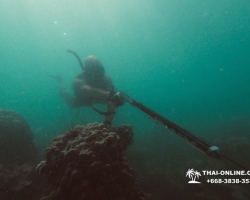 Паттайя Таиланд подводная охота на острове Ко Ларн - фото 262