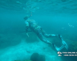 Паттайя Таиланд подводная охота на острове Ко Ларн - фото 266