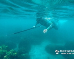 Паттайя Таиланд подводная охота на острове Ко Ларн - фото 259