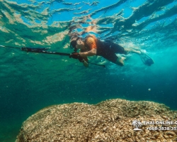 Паттайя Таиланд подводная охота на острове Ко Ларн - фото 6