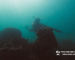 Паттайя Таиланд подводная охота на острове Ко Ларн - фото 270