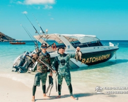 Паттайя Таиланд подводная охота на острове Ко Ларн - фото 100