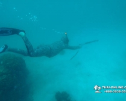 Паттайя Таиланд подводная охота на острове Ко Ларн - фото 274