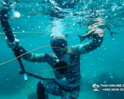 Паттайя Таиланд подводная охота на острове Ко Ларн - фото 50