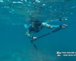 Паттайя Таиланд подводная охота на острове Ко Ларн - фото 223