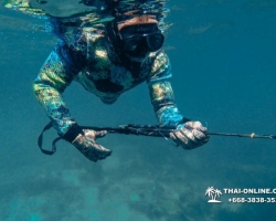 Паттайя Таиланд подводная охота на острове Ко Ларн - фото 187