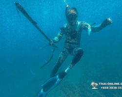Паттайя Таиланд подводная охота на острове Ко Ларн - фото 260