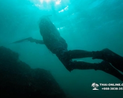 Паттайя Таиланд подводная охота на острове Ко Ларн - фото 273