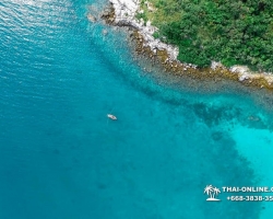 Паттайя Таиланд подводная охота на острове Ко Ларн - фото 57