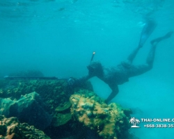 Паттайя Таиланд подводная охота на острове Ко Ларн - фото 233