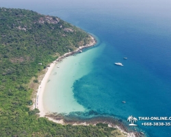 Паттайя Таиланд подводная охота на острове Ко Ларн - фото 99