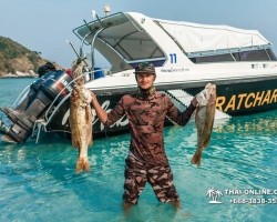 Паттайя Таиланд подводная охота на острове Ко Ларн - фото 4