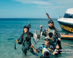 Паттайя Таиланд подводная охота на острове Ко Ларн - фото 49