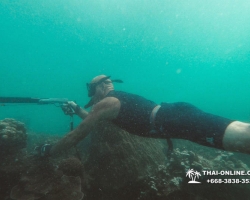 Паттайя Таиланд подводная охота на острове Ко Ларн - фото 239