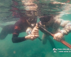 Паттайя Таиланд подводная охота на острове Ко Ларн - фото 181