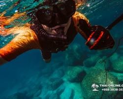 Паттайя Таиланд подводная охота на острове Ко Ларн - фото 56