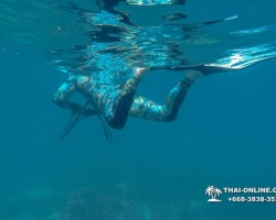 Паттайя Таиланд подводная охота на острове Ко Ларн - фото 253