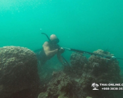 Паттайя Таиланд подводная охота на острове Ко Ларн - фото 247