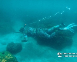Паттайя Таиланд подводная охота на острове Ко Ларн - фото 264