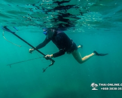 Паттайя Таиланд подводная охота на острове Ко Ларн - фото 227