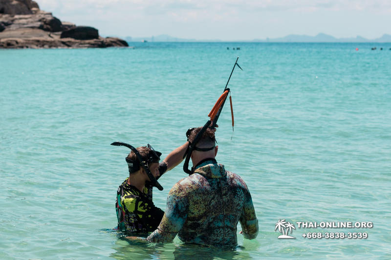 Паттайя Таиланд подводная охота на острове Ко Ларн - фото 128