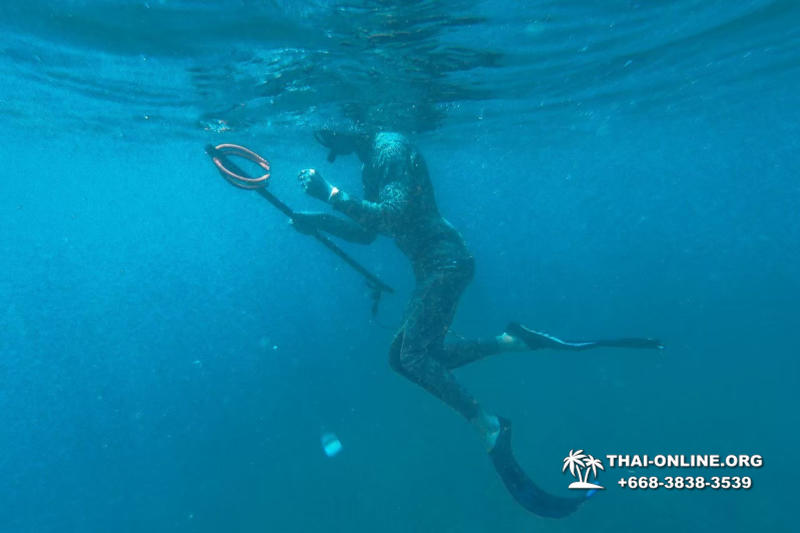 Паттайя Таиланд подводная охота на острове Ко Ларн - фото 265
