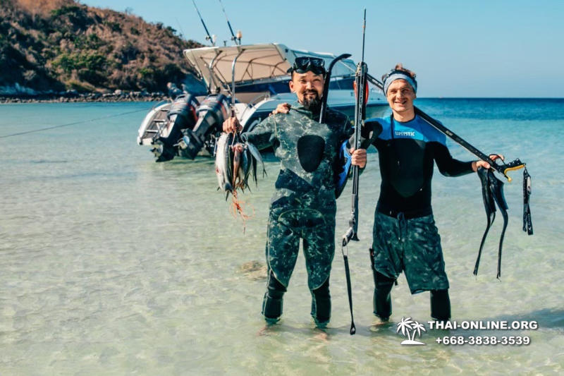 Паттайя Таиланд подводная охота на острове Ко Ларн - фото 65
