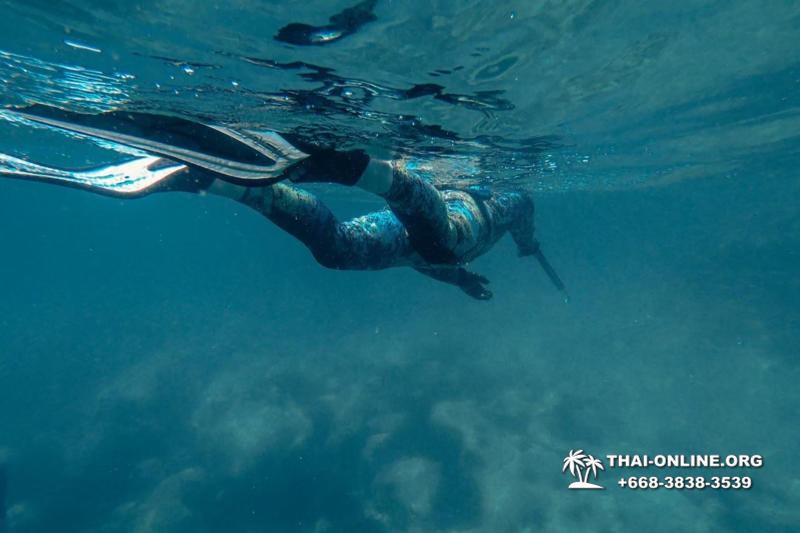 Паттайя Таиланд подводная охота на острове Ко Ларн - фото 224