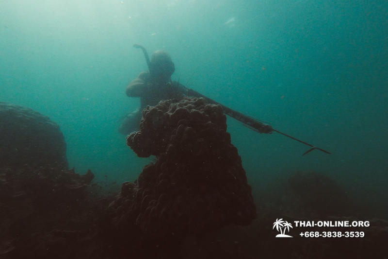 Паттайя Таиланд подводная охота на острове Ко Ларн - фото 269
