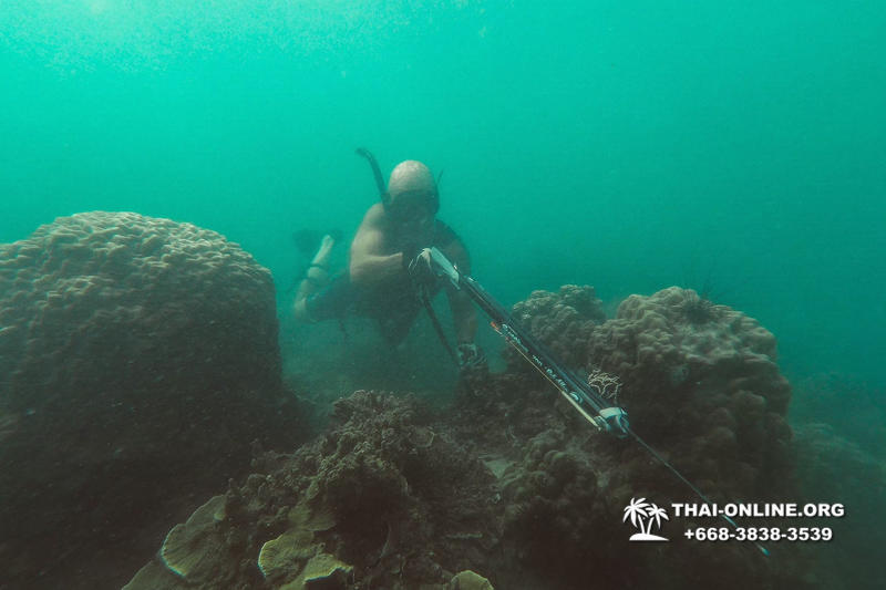 Паттайя Таиланд подводная охота на острове Ко Ларн - фото 250