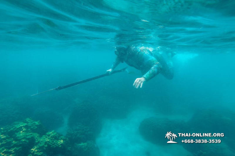 Паттайя Таиланд подводная охота на острове Ко Ларн - фото 259