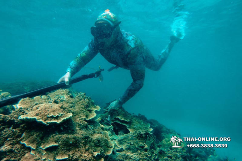 Паттайя Таиланд подводная охота на острове Ко Ларн - фото 139