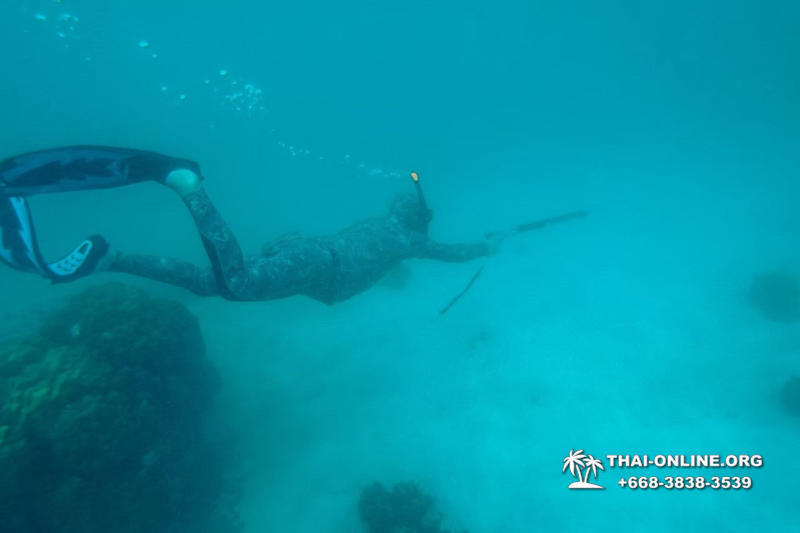 Паттайя Таиланд подводная охота на острове Ко Ларн - фото 274