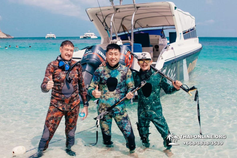 Паттайя Таиланд подводная охота на острове Ко Ларн - фото 28