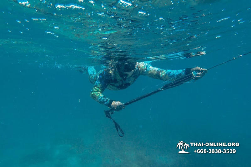 Паттайя Таиланд подводная охота на острове Ко Ларн - фото 223