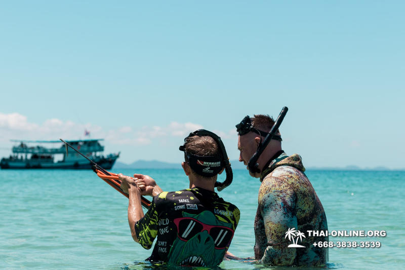 Паттайя Таиланд подводная охота на острове Ко Ларн - фото 208
