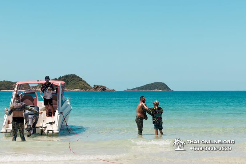 Паттайя Таиланд подводная охота на острове Ко Ларн - фото 217