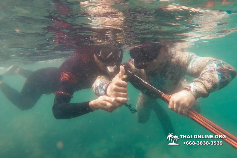 Паттайя Таиланд подводная охота на острове Ко Ларн - фото 181