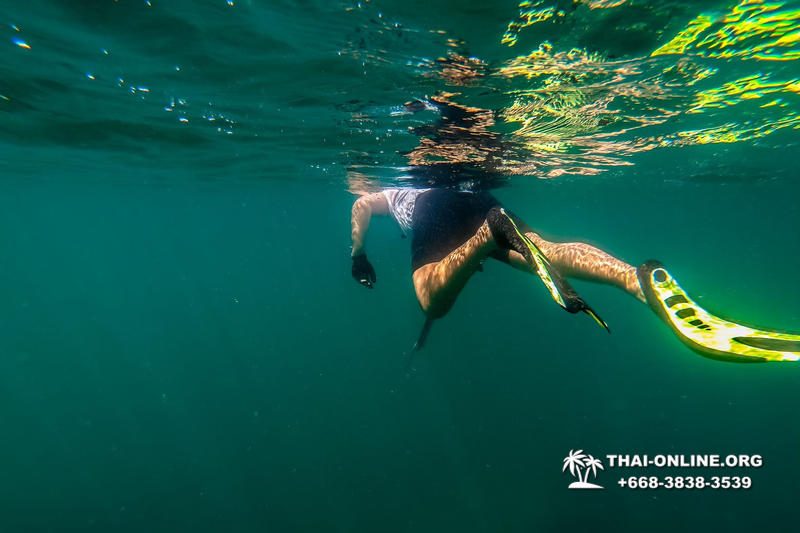 Паттайя Таиланд подводная охота на острове Ко Ларн - фото 170