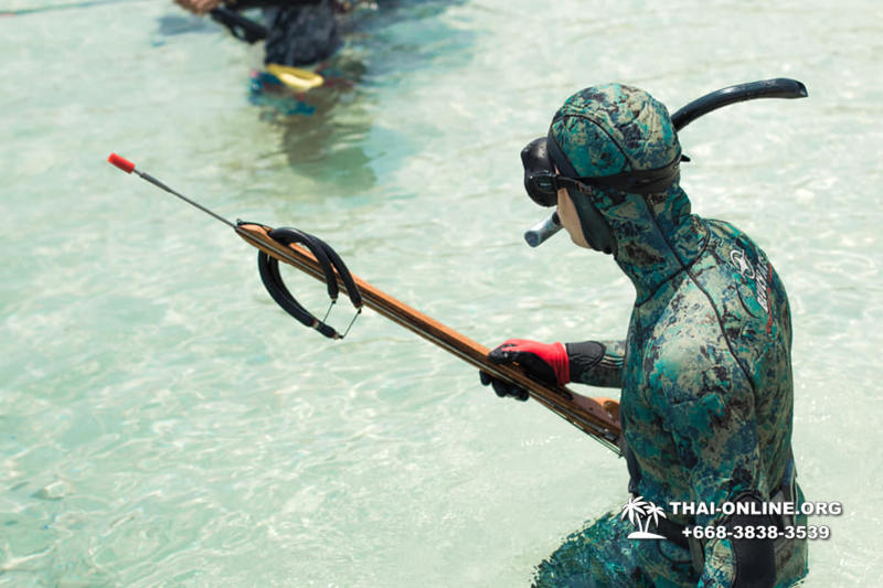 Паттайя Таиланд подводная охота на острове Ко Ларн - фото 110