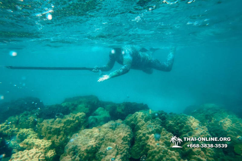 Паттайя Таиланд подводная охота на острове Ко Ларн - фото 109
