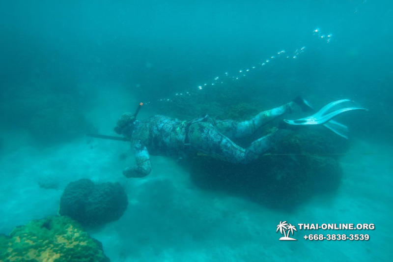 Паттайя Таиланд подводная охота на острове Ко Ларн - фото 264