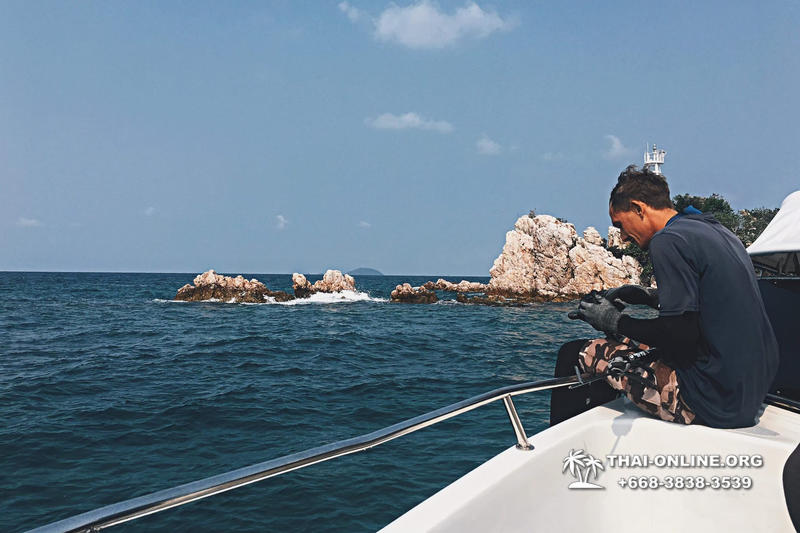 Паттайя Таиланд подводная охота на острове Ко Ларн - фото 175