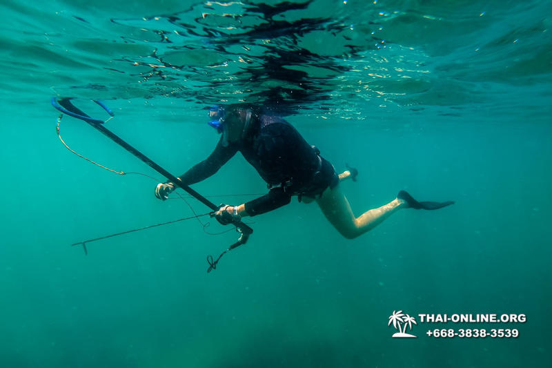 Паттайя Таиланд подводная охота на острове Ко Ларн - фото 227