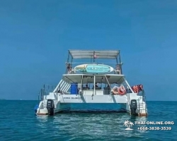 Sea Breeze катамаран в Тайланде Паттайя тур на остров Ко Пхай фото 44