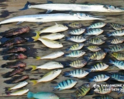 Рыбалка на саргана в Тайланде, морские туры Паттайи фото 22