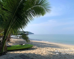Ко Чанг ВИП и Пхи Пхи Ной, отель Nature Beach Resort - фото тура 65