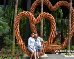 Seven Countries экскурсия Нонг Нуч обед и шоу змей фото тура - 150